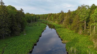 /international/us/00-farr-rd-forestport-ny-110107166444/