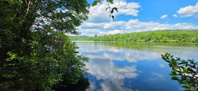 /international/us/shore-rd-swan-lake-ny-110109842812/
