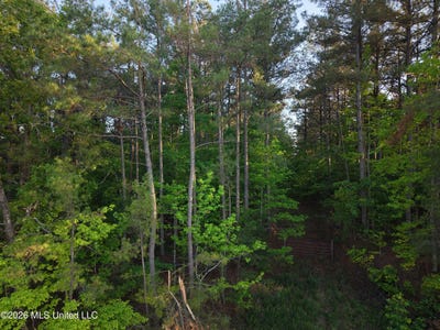 /international/us/stewart-weir-road-stewart-ms-110107695057/
