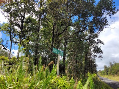 /international/us/road-5-uau-kurtistown-hi-110105853041/