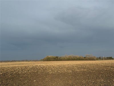 /international/us/3544-250th-street-lac-qui-parle-twp-mn-110108074827/