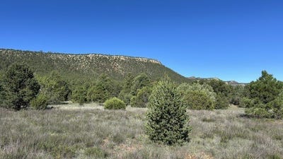/international/us/6-acres-off-of-nm-34-rowe-nm-110120121014/
