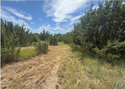 /international/us/7800-boswell-court-lipan-tx-110108015142/