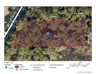 /international/us/county-road-445a-astor-fl-110095048092/