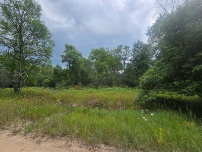 /international/us/11660-behlke-road-se-fife-lake-mi-110100985928/