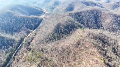 /international/us/polls-creek-road-yeaddiss-ky-110105801483/