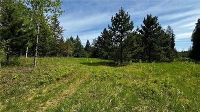 /international/us/tbd-b-hwy-169-wuori-twp-mn-110108617513/?lang=it