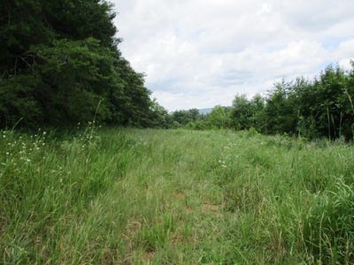 /international/us/8827-ooltewah-cemetery-road-ooltewah-tn-110100218659/