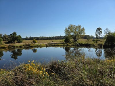 /international/us/5762-hwy-63w-jasper-tx-110107060096/