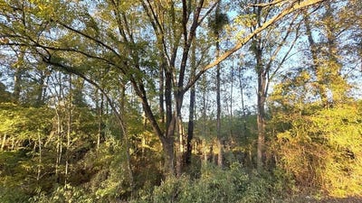 /international/us/tr-008-hwy-21e-hemphill-tx-110106536211/