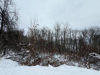 /international/us/straub-farm-rd-aliquippa-pa-110105200808/