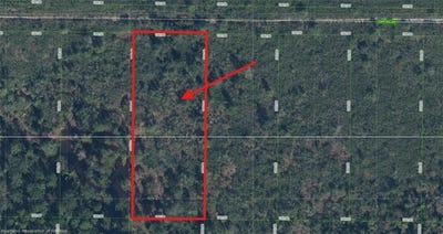 /international/us/2215-daffodil-avenue-sebring-fl-110109109633/