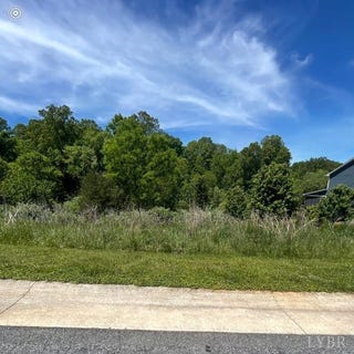 /international/us/0-lot-21-lejack-circle-forest-va-110108080582/
