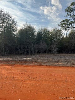 /international/us/deer-loop-lot-36-camden-al-110081758038/