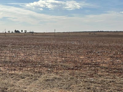 /international/us/county-rd-216-colorado-city-tx-110104546363/