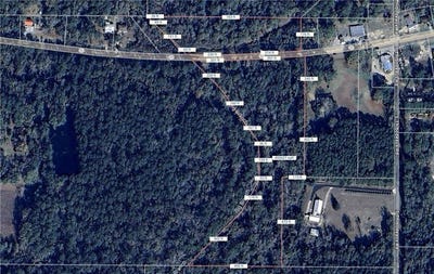 /international/us/wesley-chapel-ponchatoula-la-110100685424/