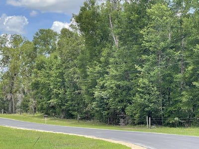 /international/us/tbd-58th-ter-high-springs-fl-110100201836/