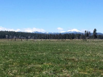 /international/us/longhorn-loop-chiloquin-or-110106151694/