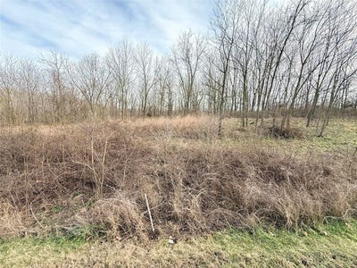 /international/us/log-cabin-drive-lot-7-sulphur-springs-ar-110106717173/