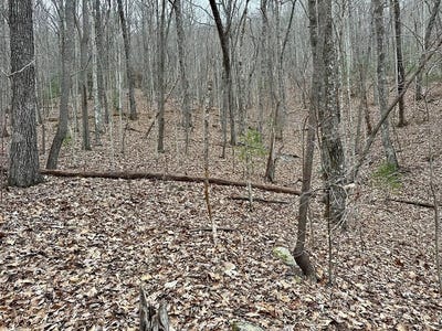 /international/us/15-19-indian-rock-springs-lot-15-19-murphy-nc-110107937039/