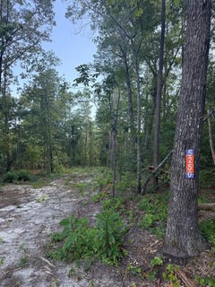 /international/us/5250-seymour-road-dalzell-sc-110100613108/?lang=zh-tw