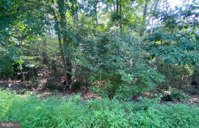 /international/us/11525-senora-lane-lusby-md-110101894064/
