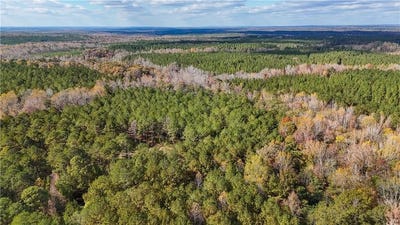 /international/us/407-county-road-258-five-points-al-110103471357/