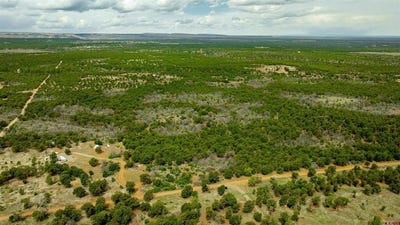 /international/us/850-canyon-ridge-road-montrose-co-110107439377/