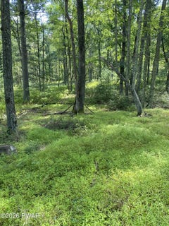/international/us/woodlyn-acres-road-lot-12b-hawley-pa-110120530151/