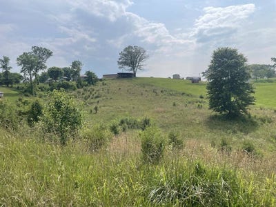 /international/us/tract-17a-billy-herold-johnson-subdivision-albany-ky-110099986400/?lang=en