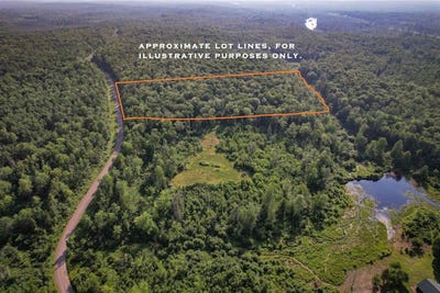 /international/us/lot-15-scout-trail-ojibwa-wi-110100965596/?lang=zh-tw