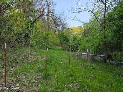 /international/us/tbd-boatmans-mountain-2-75-ac-road-morristown-tn-110101452532/?lang=en