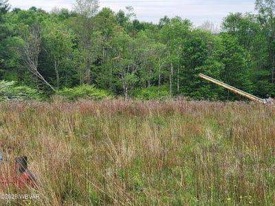 /international/us/dykes-road-lot-3-forksville-pa-110108399555/