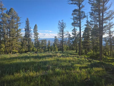 /international/us/1-big-sky-ridge-road-drummond-mt-110109003480/