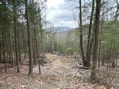 /international/us/00wp-cotton-hill-rd-middleburgh-ny-110105530185/