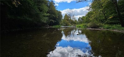 /international/us/lafayette-road-groton-ny-110106529019/