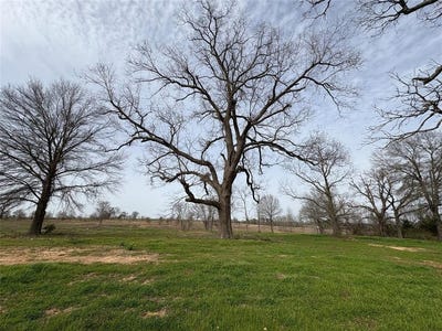 /international/us/tbd-county-road-2425-como-tx-110097985009/