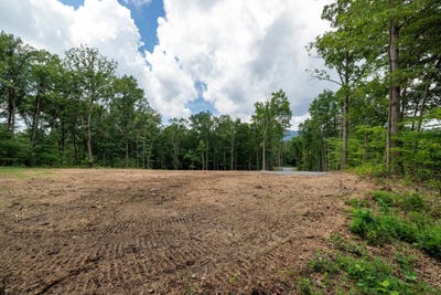 /international/us/14-mont-view-ln-luray-va-110101150503/