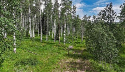 /international/us/59395-cripple-creek-court-clark-co-110100531032/?lang=pt