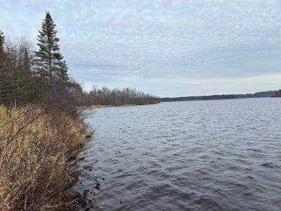/international/us/1xx-n-creek-dr-biwabik-mn-110104849452/