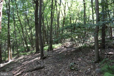 /international/us/lot-319-ridge-run-claysburg-pa-110075123751/?lang=zh-tw