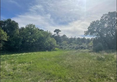 /international/us/101-naranjo-creek-la-jara-nm-110102805874/