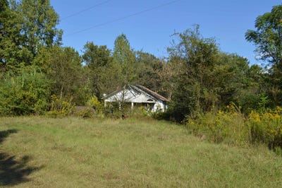 /international/us/1390-shady-grove-rd-jefferson-tx-110103169881/