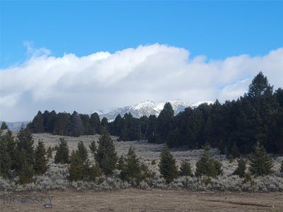 /international/us/tbd-parcels-3a-4a-bivens-creek-ridge-road-sheridan-mt-110090598629/