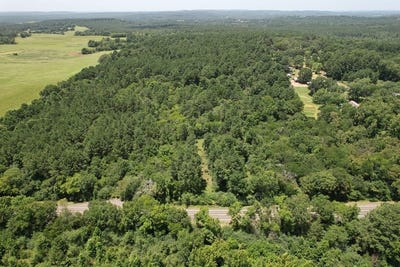 /international/us/tbd-state-highway-21-east-alto-tx-110100894786/?lang=zh-tw