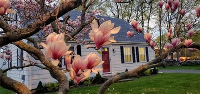 /international/us/429-forest-avenue-middletown-ri-110108225354/