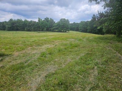 /international/us/10504-county-road-471-birch-tree-mo-110108739133/