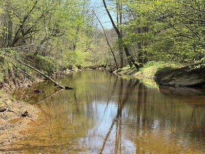 /international/us/lewistown-road-locust-grove-va-110099475939/
