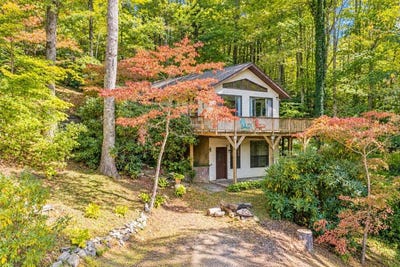 /international/us/414-bear-lake-circle-whittier-nc-110120514305/