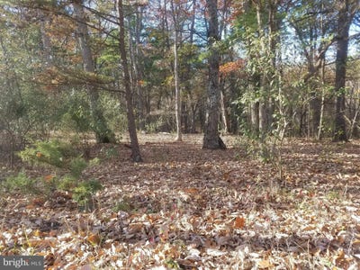 /international/us/turkey-hollow-road-romney-wv-110089329982/